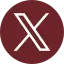 Twitter icon